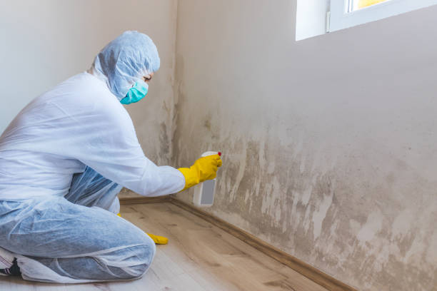 Licensed Commercial Mold Remediation service in Medford, OR - Car Mold Remediation