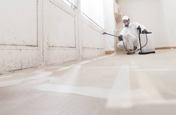 24/7 Emergency Commercial Mold Remediation experts in Medford, OR